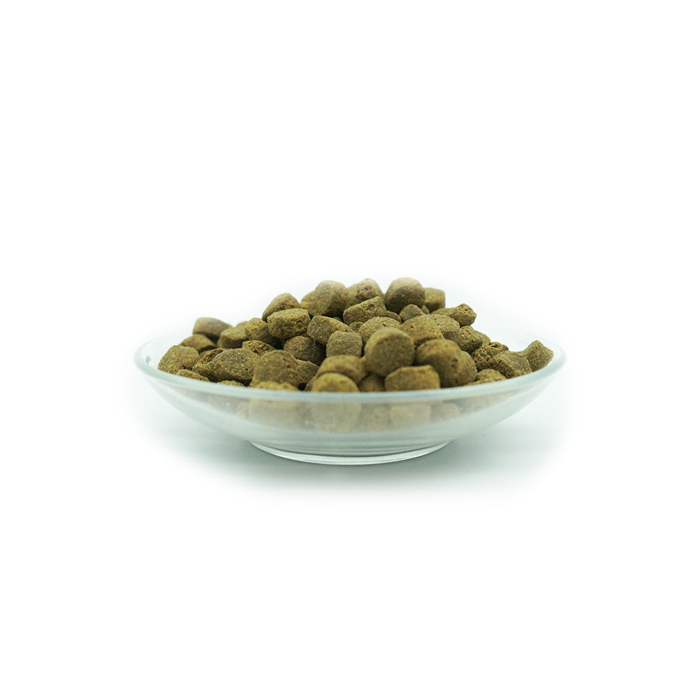 Bellfor Trockenfutter für Hunde - Freiland-Schmaus