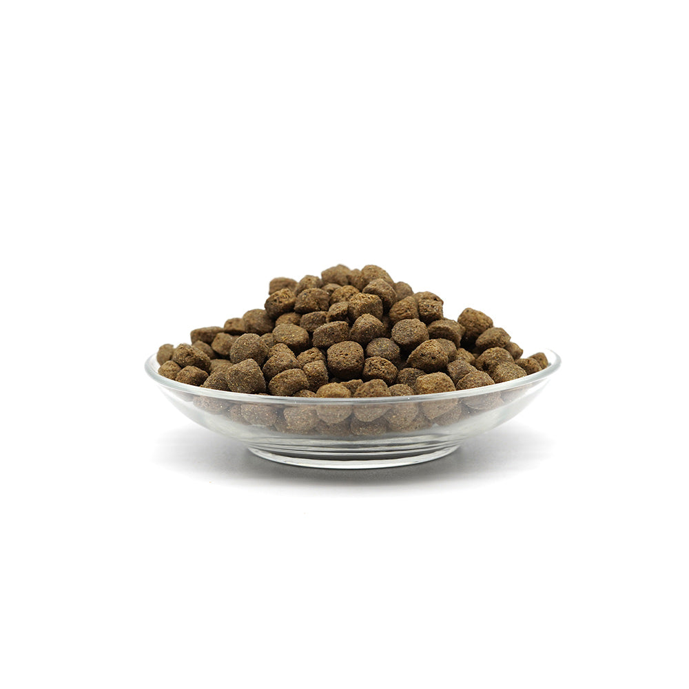 Bellfor Trockenfutter mit Insekten Naturfarm-Schmaus