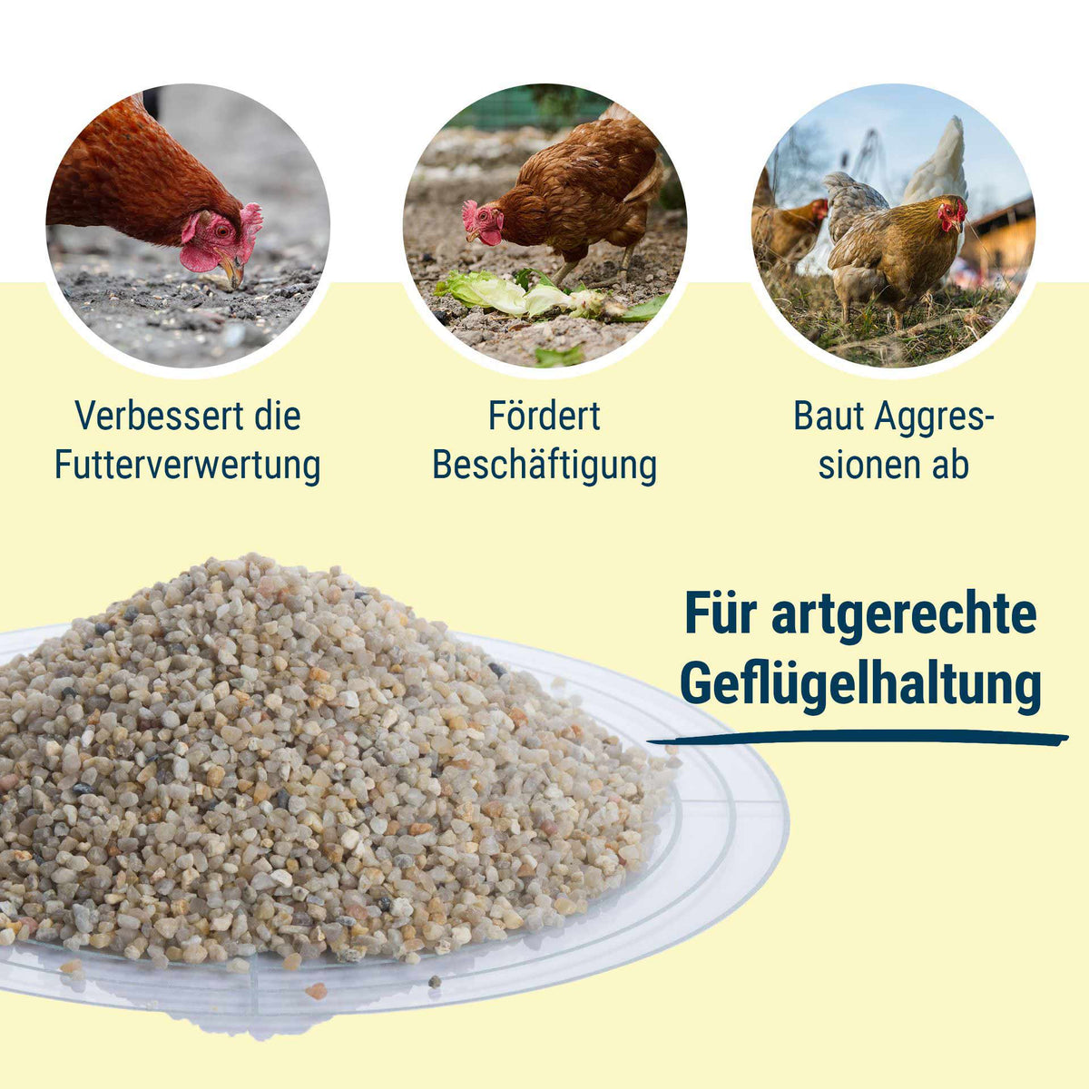 BioPiepFood Magenkiesel für Hühner – Geflügelgrit aus Quarzkies