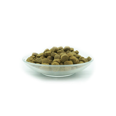 Bellfor Trockenfutter für Hunde - Freiland-Schmaus