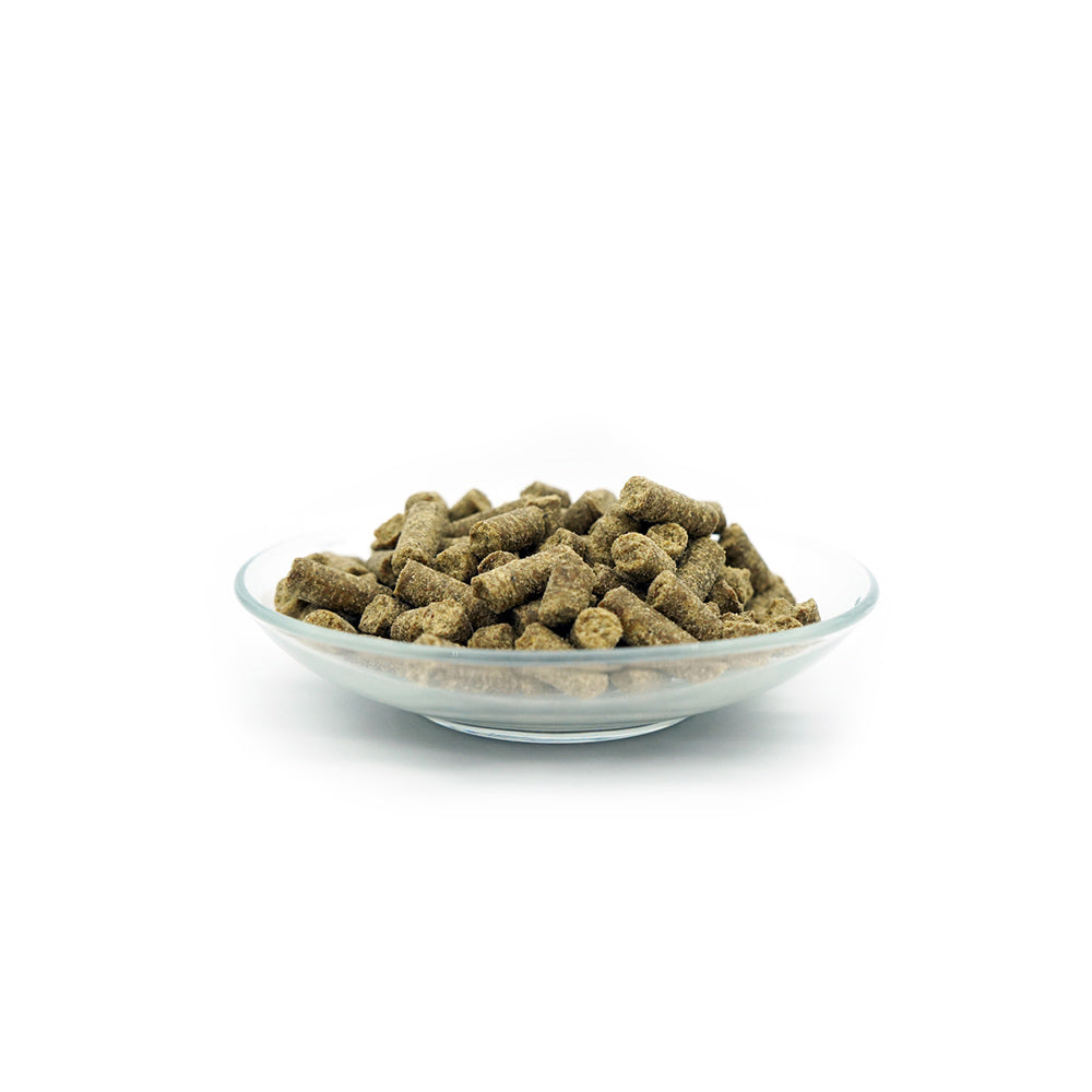 Bellfor Trockenfutter mit Insekten Naturgut-Schmaus