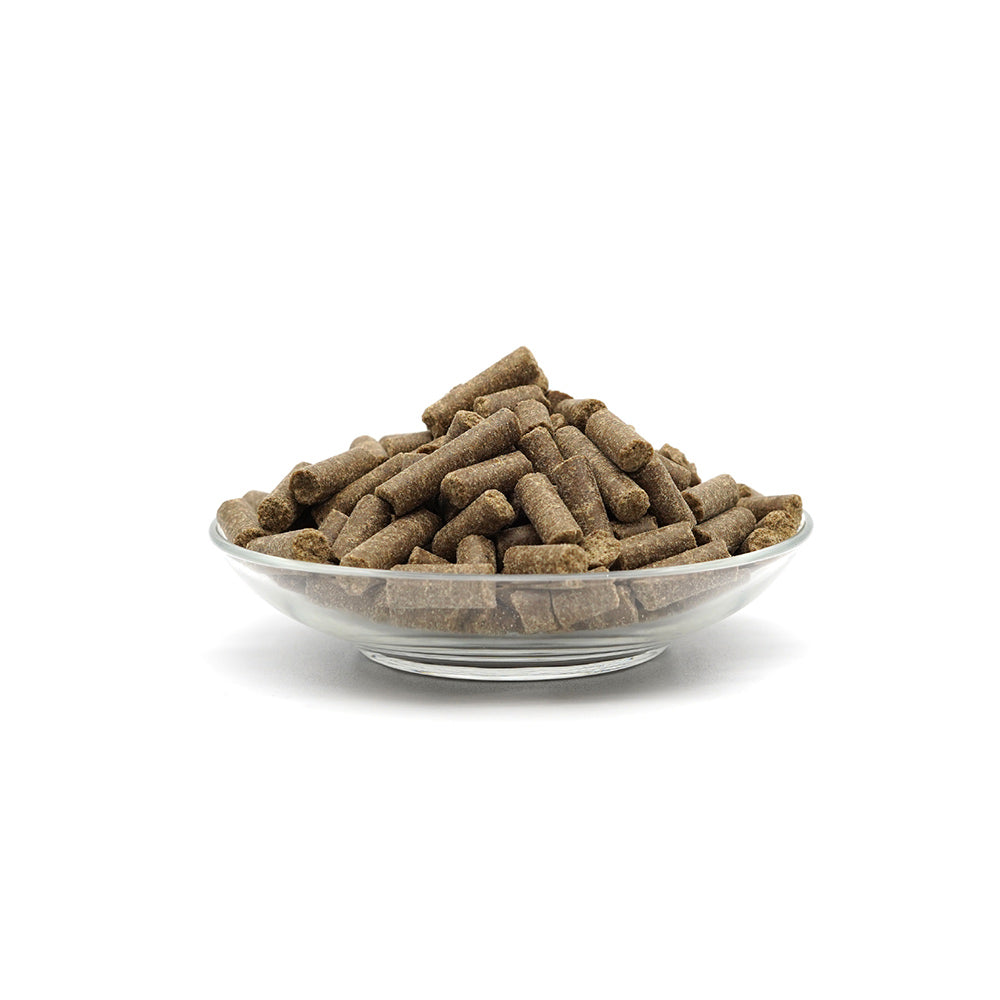Bellfor Getreidefreies Hundetrockenfutter mit Ente Wildsee-Schmaus