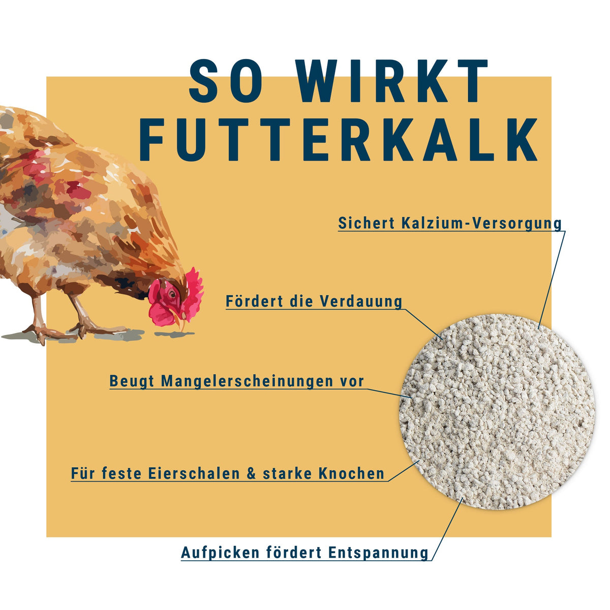 BioPiepFood Futterkalk für Hühner – Calcium für Eierschalen & Knochen 2.5kg